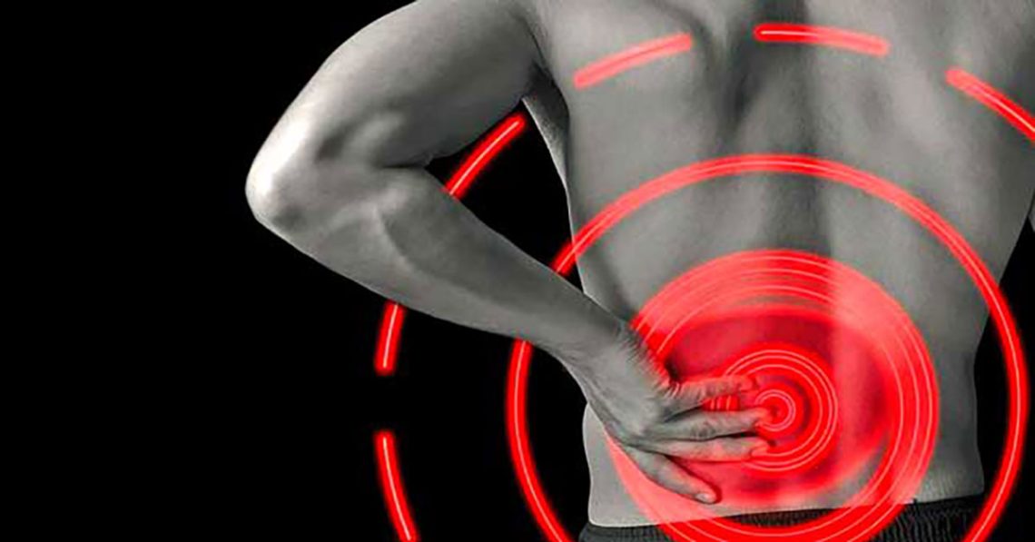 What Your Kidneys Do & Why Their Health Is Essential