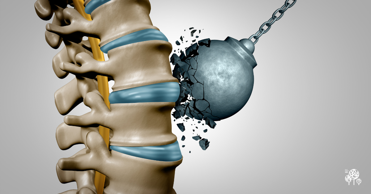 Strong Bones Start with Small Changes