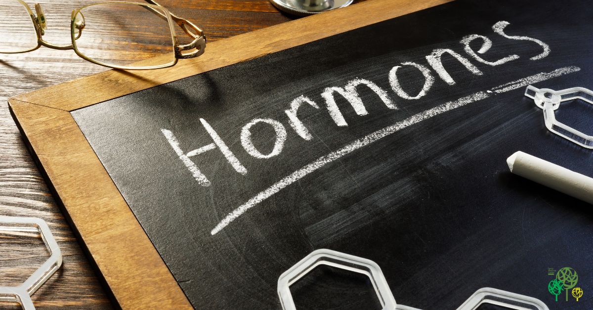 Understanding Male Hormones After 40