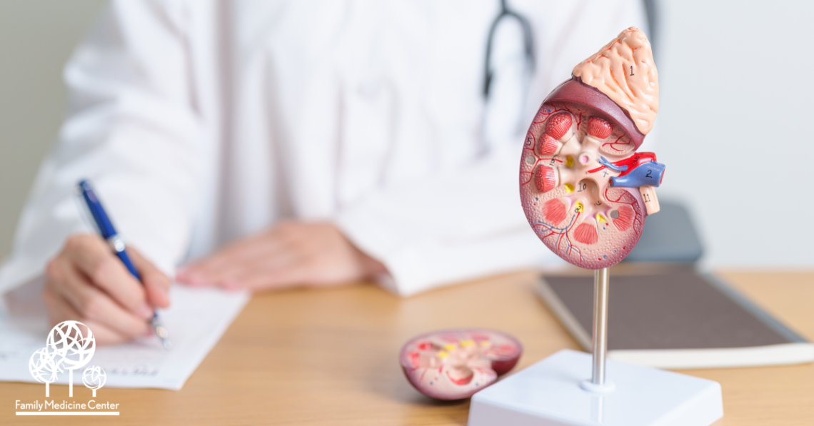 Everyday Habits That Strengthen Kidney Health